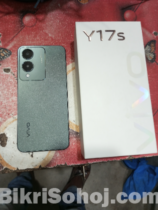 Vivo y 17s